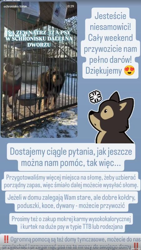 Schronisko w Toruniu apeluje o pomoc