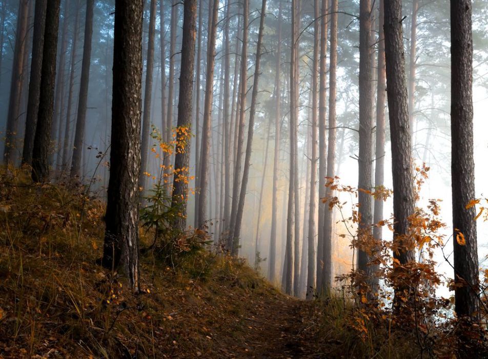 11 Polaków nagrodzonych w konkursie International Photography Awards. Zobacz zdjęcia naszych rodaków 5
