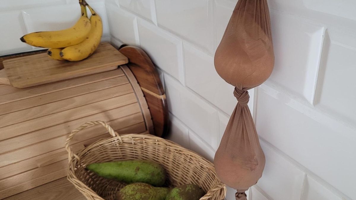 Przechowywanie cebuli