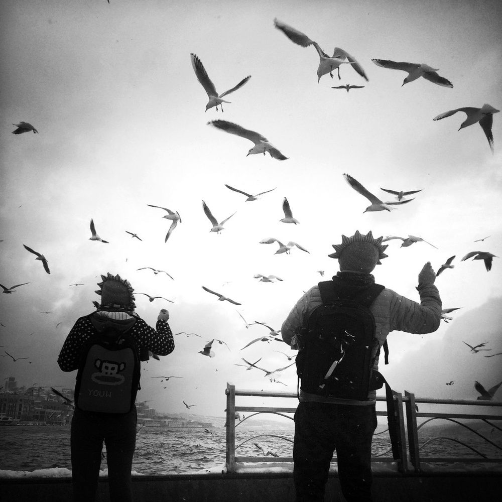 H-artcollective - mobilna fotografia uliczna 21