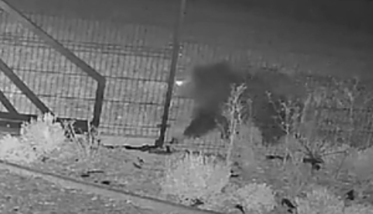 Przy samym płocie. Nocne nagranie. Aż włos się jeży