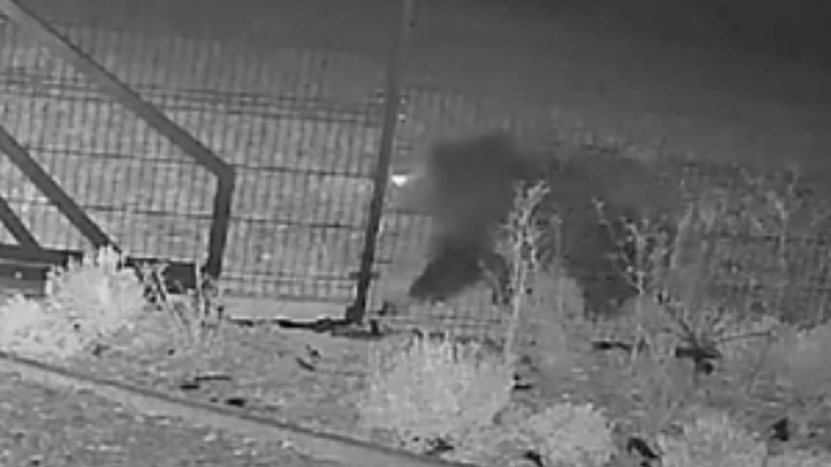 Niedźwiedzica z młodym przy zabudowaniach.