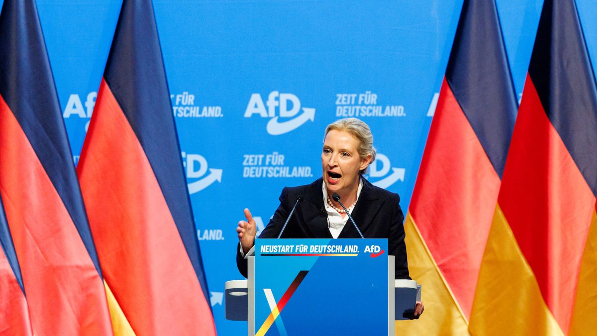 Alice Weidel