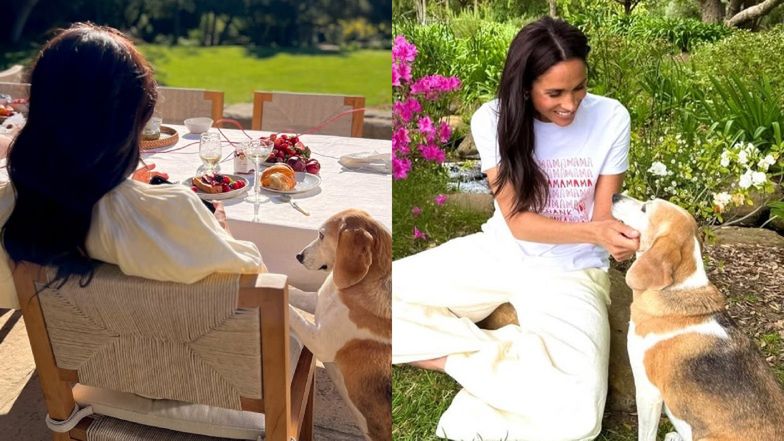 Meghan Markle pokazała swój zazieleniony ogród