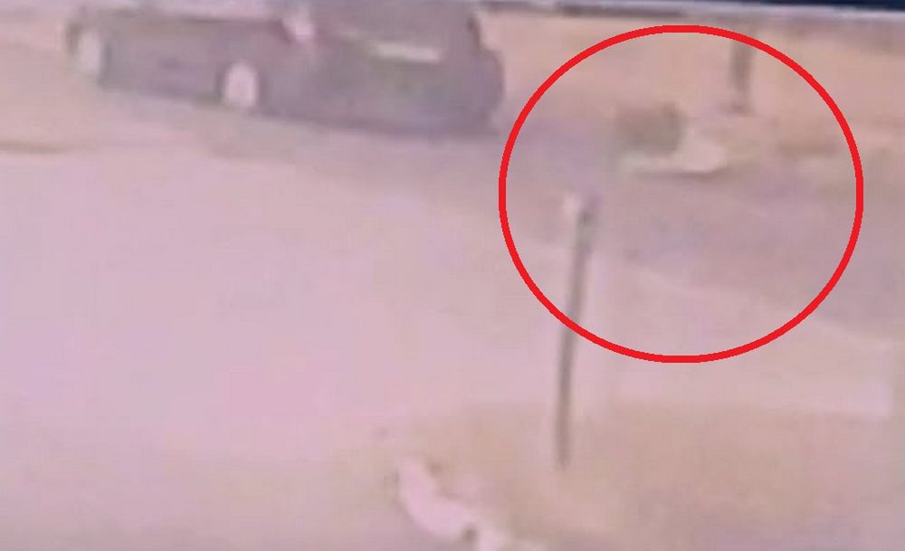 Wielkopolska: Wypadek w Damasławku. 13-letni rowerzysta wjechał pod samochód