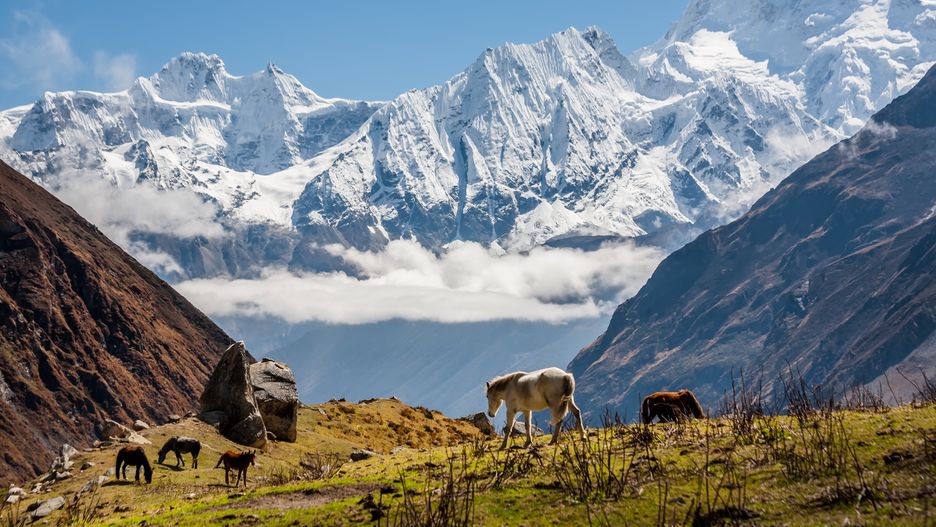 Mężczyzna bez rąk zdobył ośmiotysięcznik, Rustam Nabijew wszedł na rękach na Manaslu, niepełnosprawny wszedł na Manaslu w Nepalu