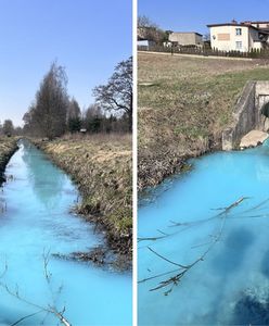 Niecodzienny widok na Mazurach. Burmistrz apeluje o pomoc
