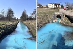 Niecodzienny widok na Mazurach. Burmistrz apeluje o pomoc