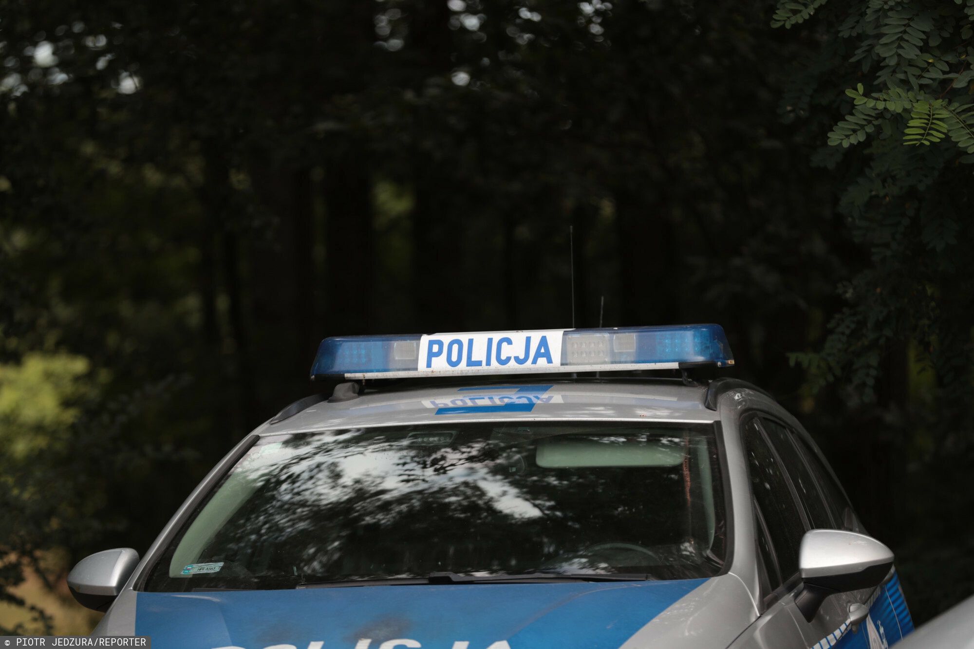 Policyjna kontrola trze?wo?ci kieowc�w w Zielonej G�rze
09.07.2024 Zielona Gora akcja Trzezwy kierowca policyjna policja kontrola trzezwosci alkomat alkomatem alkomatu kontrola kierowcy kierowca policja policji drogowka bulaje koguty swiatla policyjne radiowoz
fot. Piotr Jedzura/REPORTER
Piotr Jedzura/REPORTER