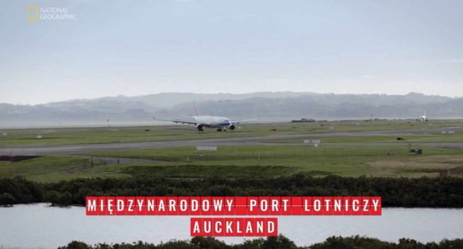 Disney nie zlikwiduje kanałów w Polsce. Nowa umowa z Grupą Polsat Plus