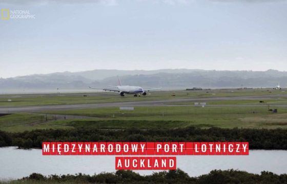 Disney nie zlikwiduje kanałów w Polsce. Nowa umowa z Grupą Polsat Plus