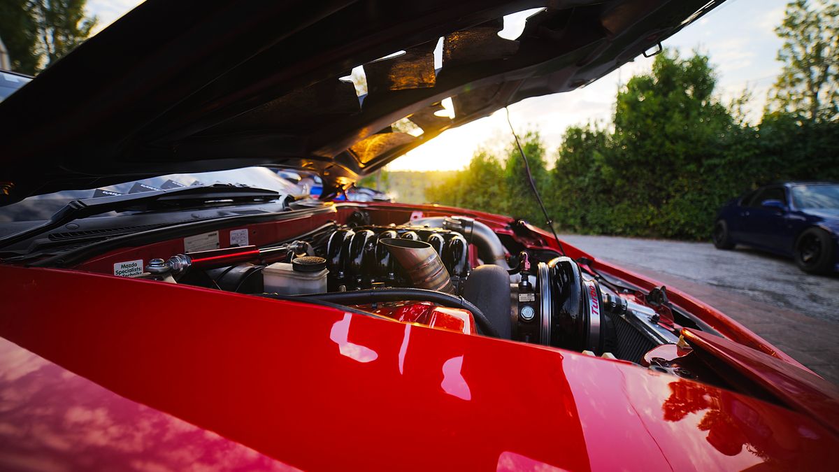 Zdjęcie ilustracyjne do artykułu