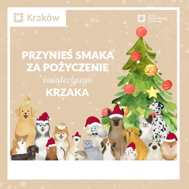 У Кракові проходить благодійна акція