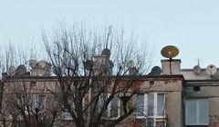 Sieci kablowe podniosą ceny po Nowym Roku. "Nieuniknione"