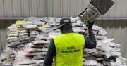 Miały być ekologiczne panele, była marihuana. Do akcji wkroczyło KAS