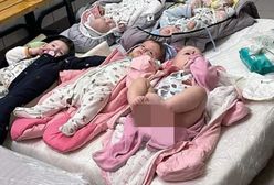"Niemowlęta z ukraińskiego sierocińca? To ja poproszę jedno"