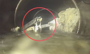 Aż trudno uwierzyć. Zajrzeli do kanałów. Ręce opadają