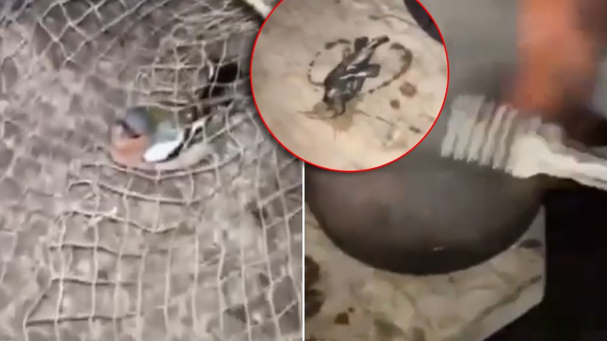 Nastolatkowie znęcali się nad złapanymi ptakami, ugotowali je żywcem na ognisku