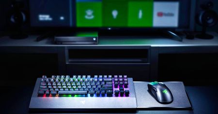 Xbox: Microsoft Edge dodaje obsługę myszki i klawiatury. Można pograć na Stadia albo pisać w Wordzie