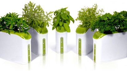 Prepara Power Plant zamiast przydomowego ogródka 1