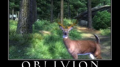 The Elder Scrolls V: Skyrim - coś już wiemy! 1