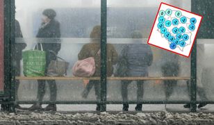 Zrobi się zimowo. Najnowsza prognoza