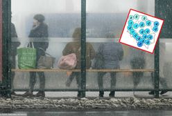 Zrobi się zimowo. Najnowsza prognoza