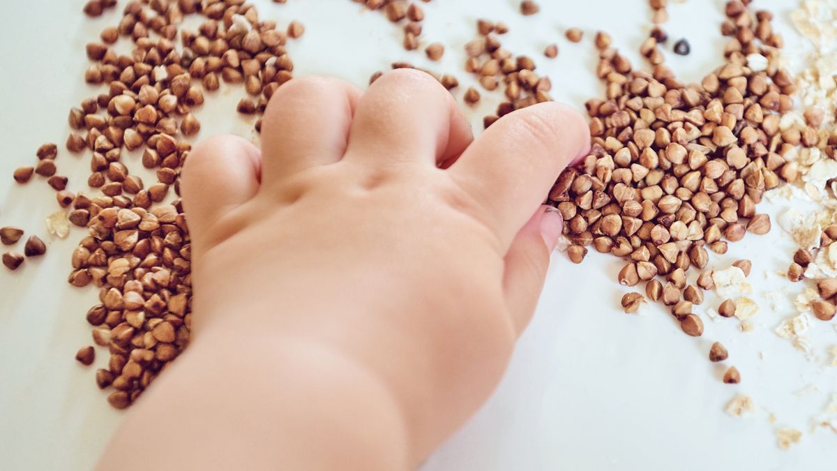 kasza kasze kaszki niemowlak maluch dziecko dieta dziecka