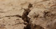 Zmiany klimatu mogą zmienić naszą cywilizację. Ostrzeżenie naukowców