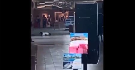 USA. Strzały w centrum handlowym