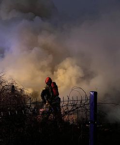 Tragiczny pożar w Zegrzu. Jedna osoba nie żyje