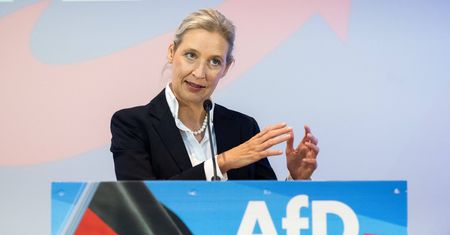 AfD odchodzi od swojego postulatu? Media piszą o zwrocie