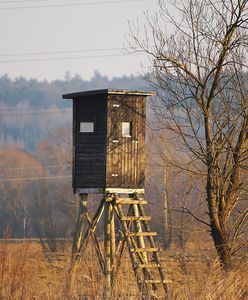 Tragedia na polowaniu. Nie żyje myśliwy. Śledczy ze Szczecina wyjaśniają sprawę