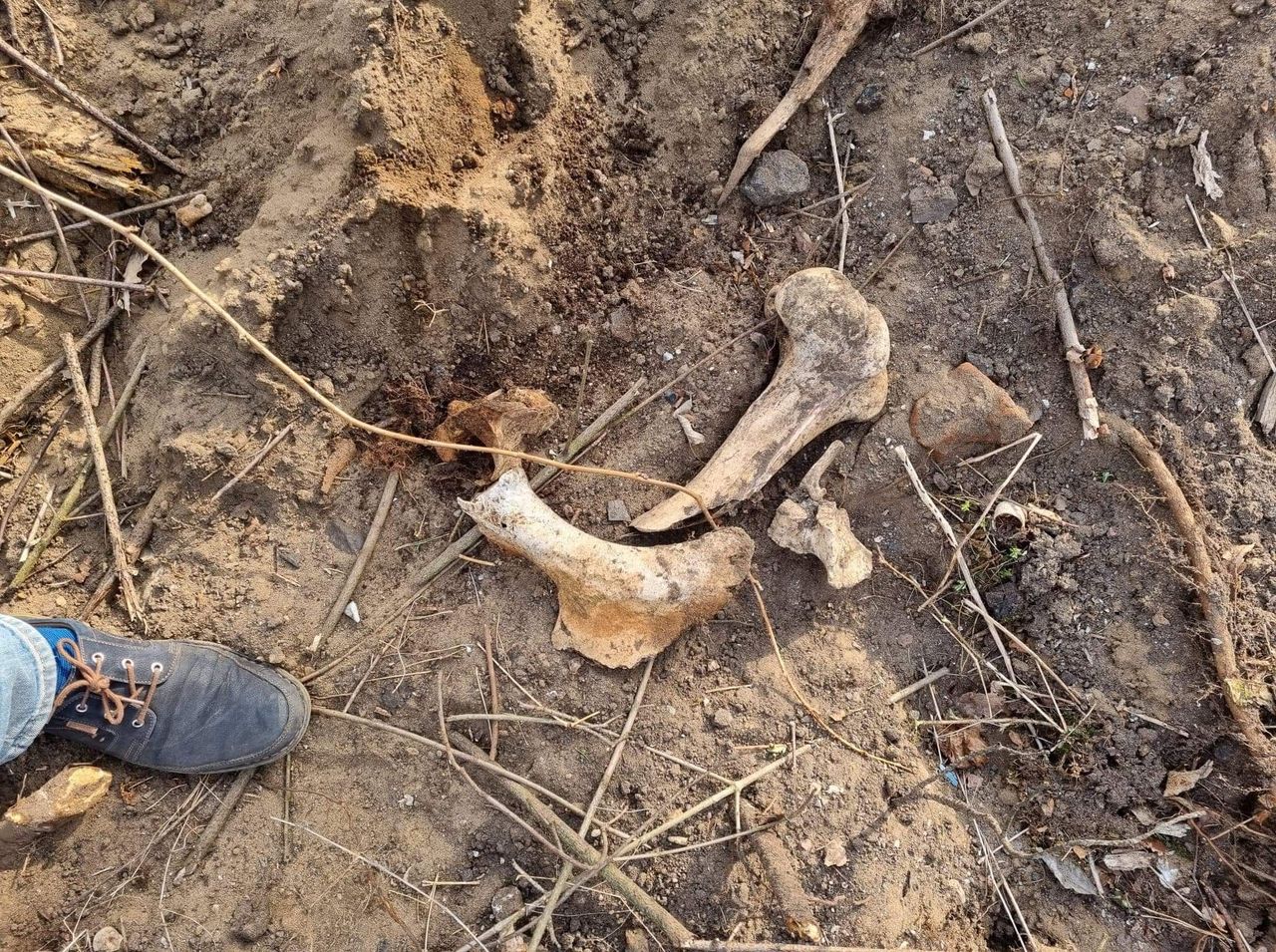 Kości walały się po ziemi. Proboszcz stanie przed sądem