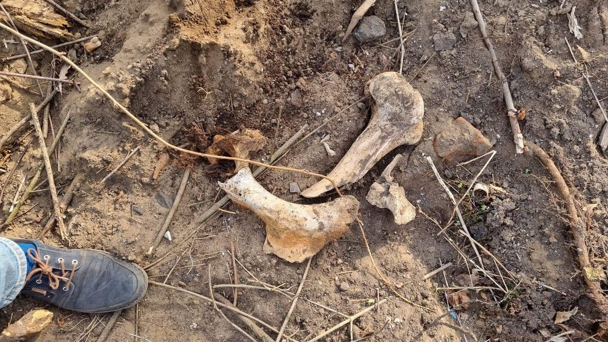 W trakcie prac zniszczono zabytkowe groby ewangelickie 