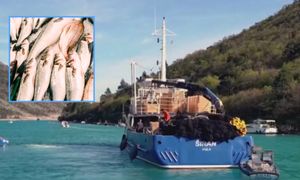 Rybacy na skraju bankructwa. Klientów nie stać na ryby