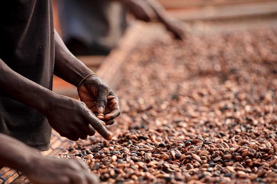 Na zdjęciu Deborah Osei-Mensah, rolniczka uprawiająca kakao w Ghanie, fot. Francis Kokoroko, Fairtrade, Fairpicture