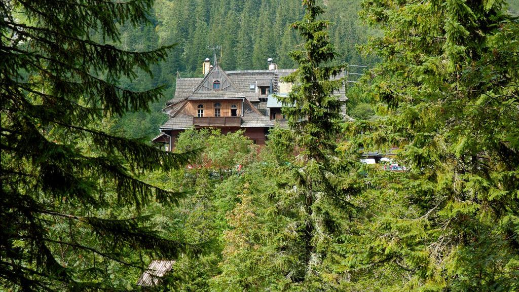 Tatry nie dla elektrycznych hulajnóg