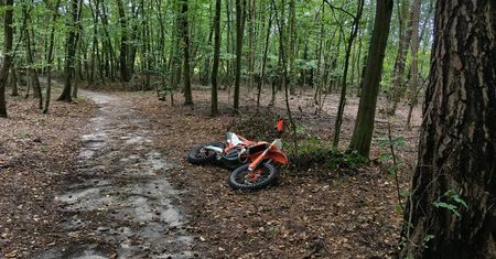 Tragedia w lesie pod Buskiem-Zdrój. Nie żyje 52-letni motocyklista