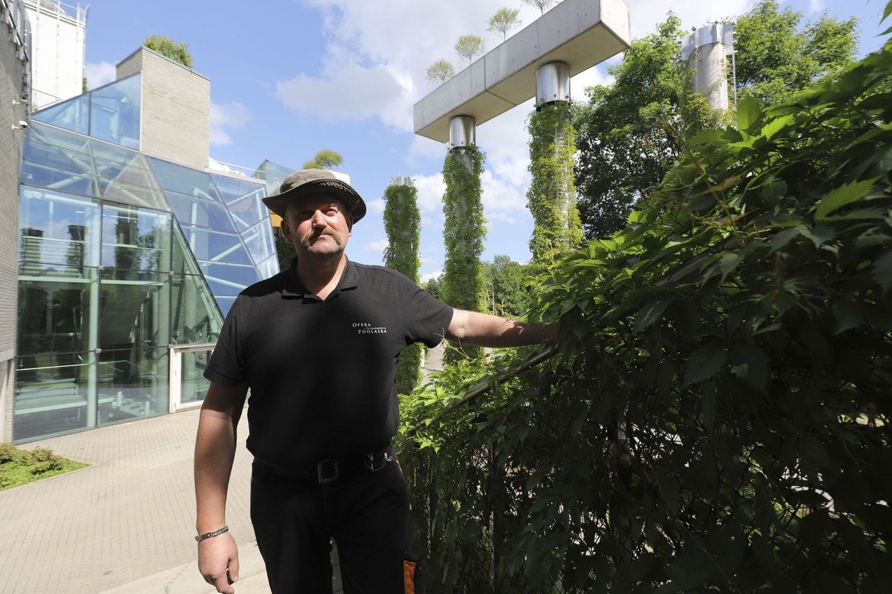 Kalendarz prac ogrodnika na październik 2025. Te rośliny trzeba przyciąć w październiku