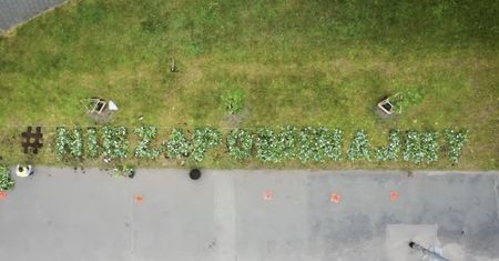 Wrocław. Akcja #niezapominajmy. Napis z białych kwiatów pamięci ofiar koronawirusa