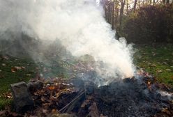 Palenie liści i gałęzi. Można dostać 500 zł mandatu