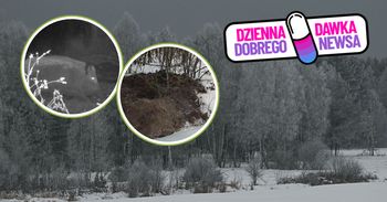 Odnalazł je głęboko w ziemi. "Las niczego nie marnuje"