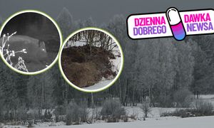 Odnalazł je głęboko w ziemi. "Las niczego nie marnuje"