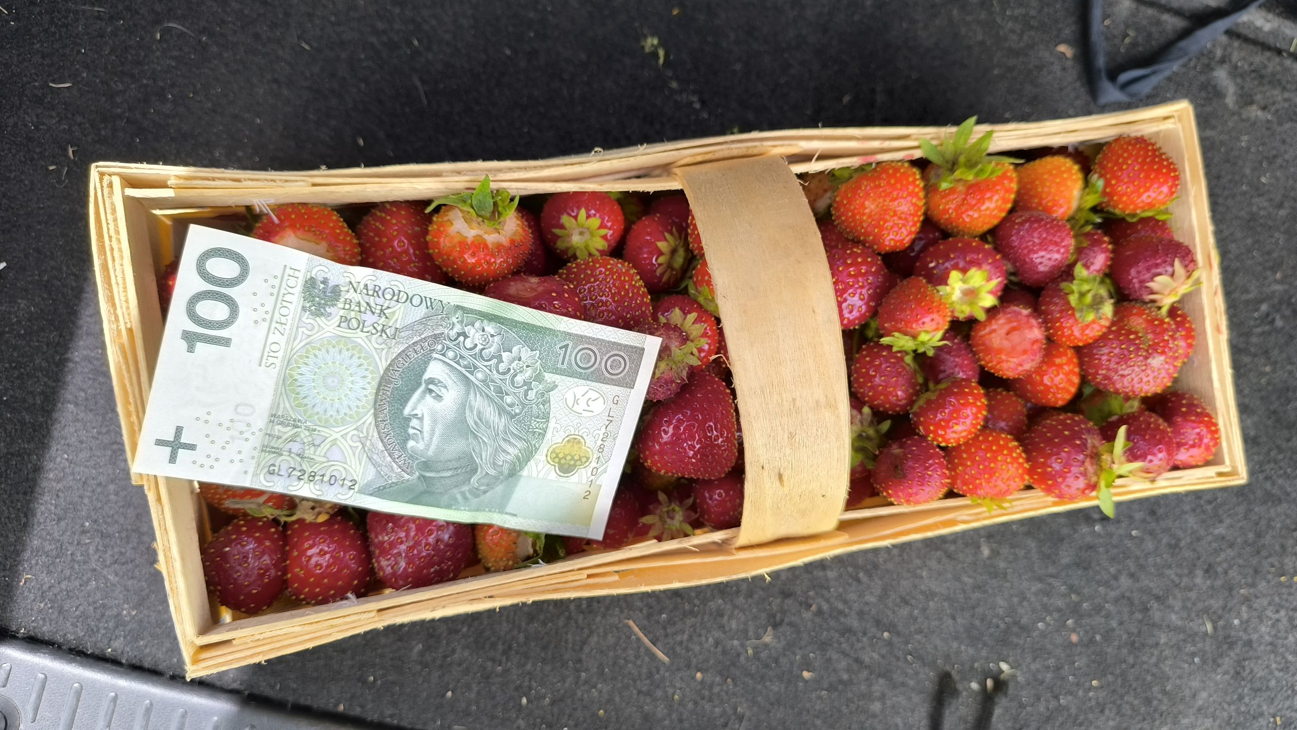 Mój dzienny urobek po pracy na polu truskawek