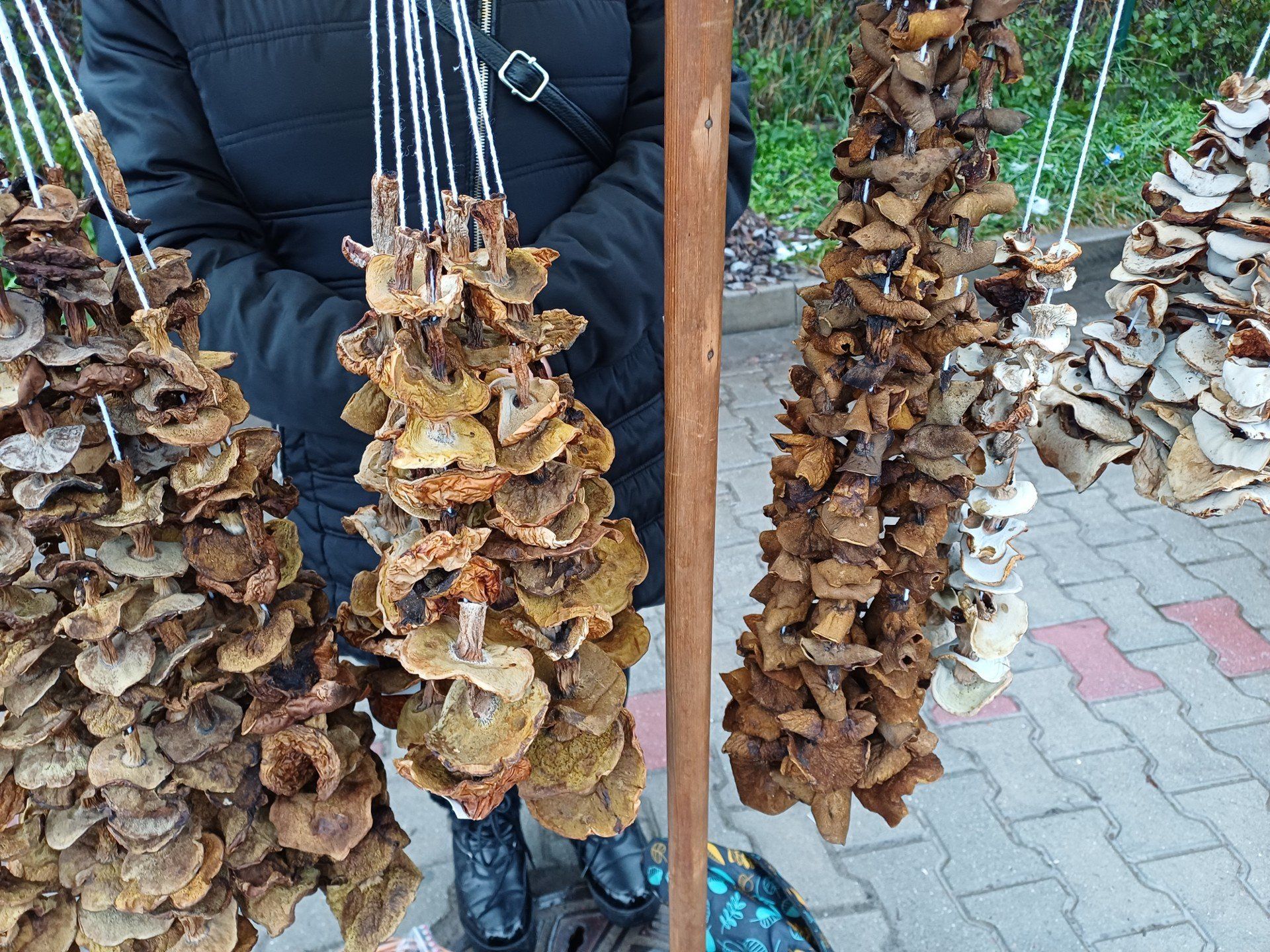 Suszone grzyby są już w sprzedaży. Za prawdziwki 60 zł