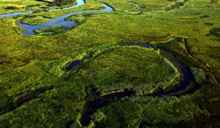 Największy park narodowy w Polsce. Sprawdź, co o nim wiesz