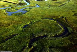 Największy park narodowy w Polsce. Sprawdź, co o nim wiesz