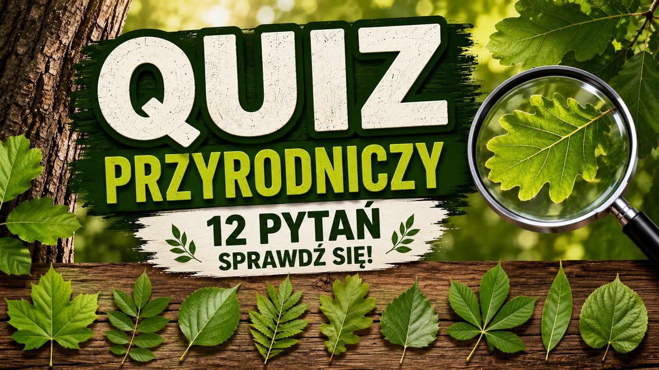 QUIZ PRZYRODNICZY: Rozpoznasz drzewo po liściu lub owocu?