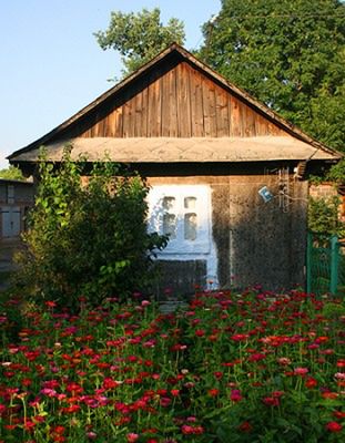 Obraz